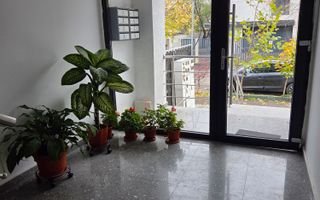 NOU! Apartament 2 camere Bucurestii Noi - Poză 15