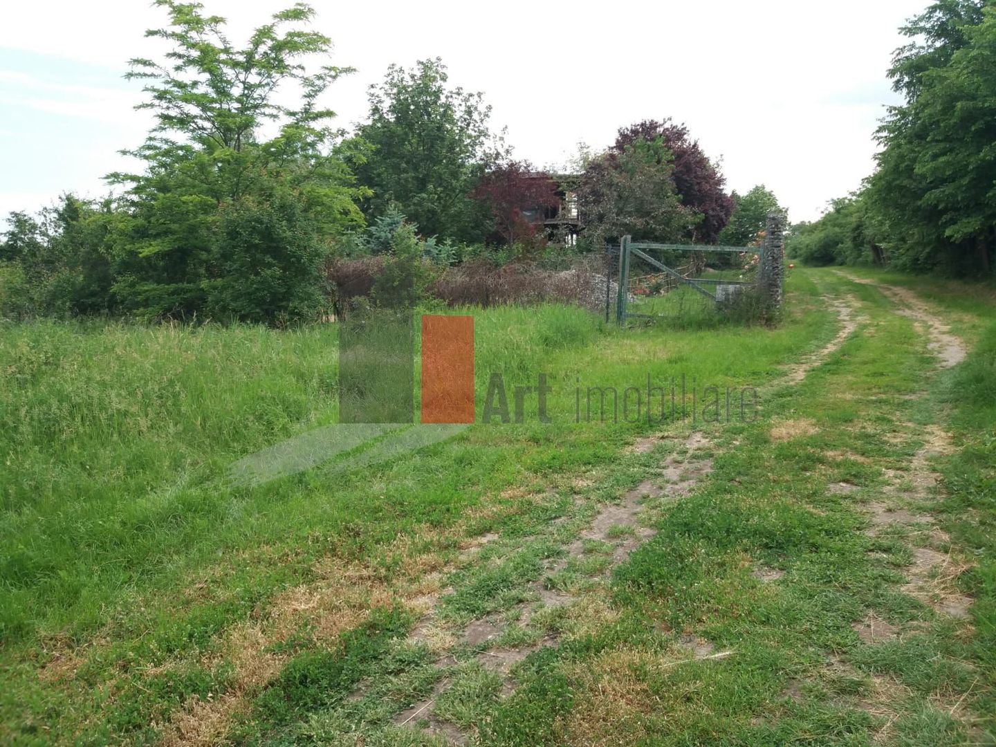 Teren Buftea cu iesire la lac - Poză 6