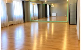 Apartament versatil**112 MP**Rezidential/Business//Dacia - Poză 14