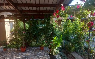 Ag EUROPA vinde casa NOUA individuala în Madaras 4 cam 7 ari 175mp. - Poză 34