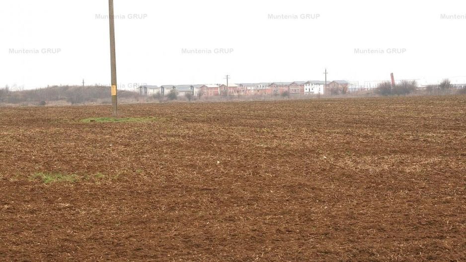 OTOPENI - Str. Drumul Garii Balotesti, 42240 mp. teren intravilan - Poză 4
