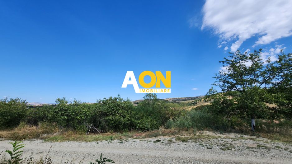 De vanzare teren intravilan 728mp, Oarda de Sus - Poză 3