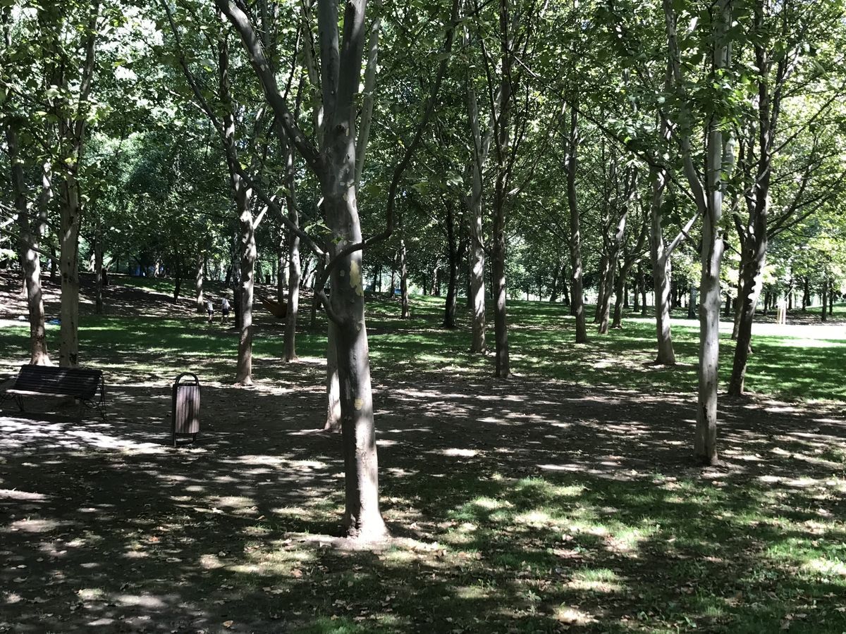 🔑 Vanzare garsoniera – Zona Titan / Matei Ambrozie – ParkLake Mall – Parc IOR - Poză 18