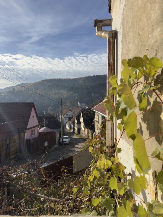 Casa individuala - Sat Vale, Saliste - Poză 4