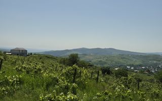 Teren intravilan de vânzare în Tomesti-Goruni – parcele de 700 mp și 3000 mp - Poză 2