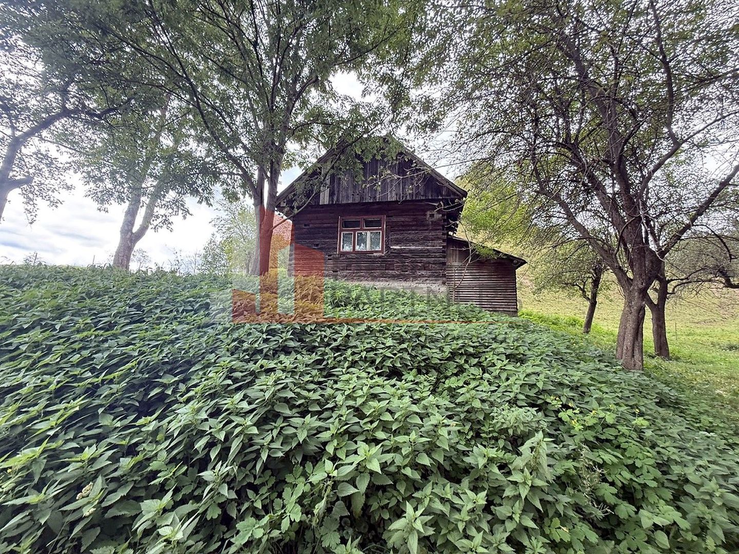 Teren de investiție în Moieciu, lângă Castelul Bran – 11.381 mp, vedere Bucegi - Poză 4