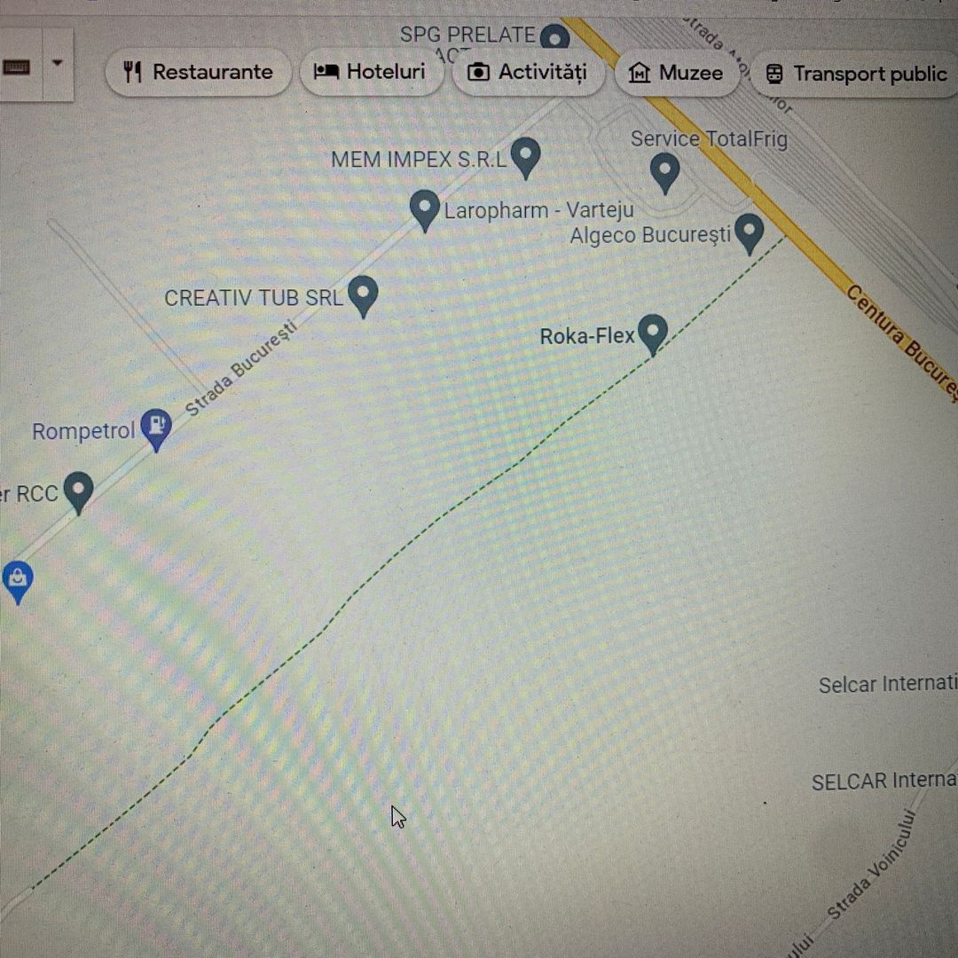 Teren de vanzare Magurele 10.000 mp - Poză 3