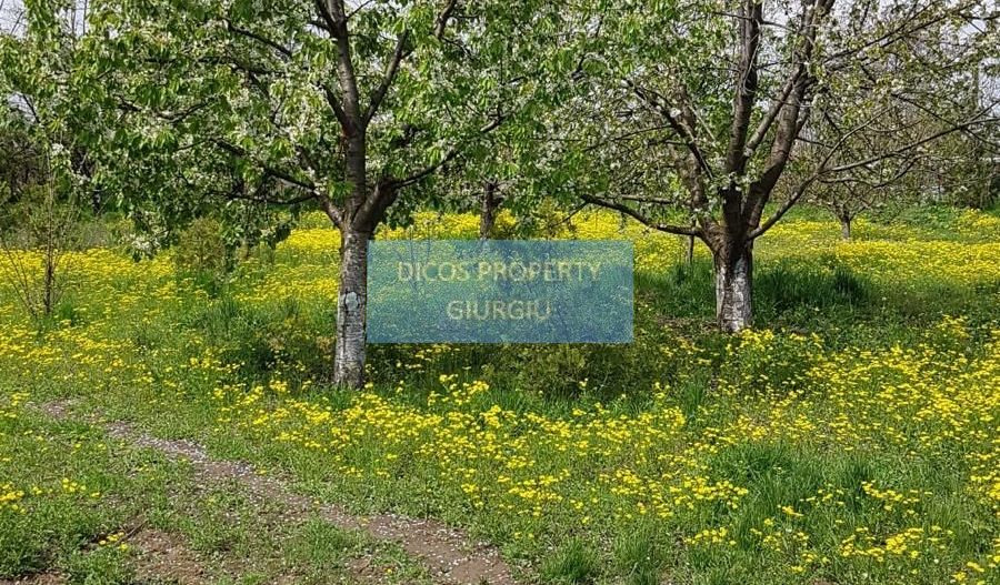 Teren 2.600 mp, utilități, Str. Merișor – Giurgiu - Poză 8