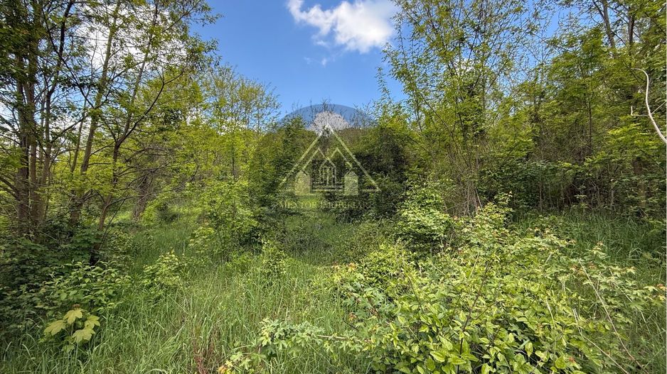 Teren constructii Medias - Poză 8