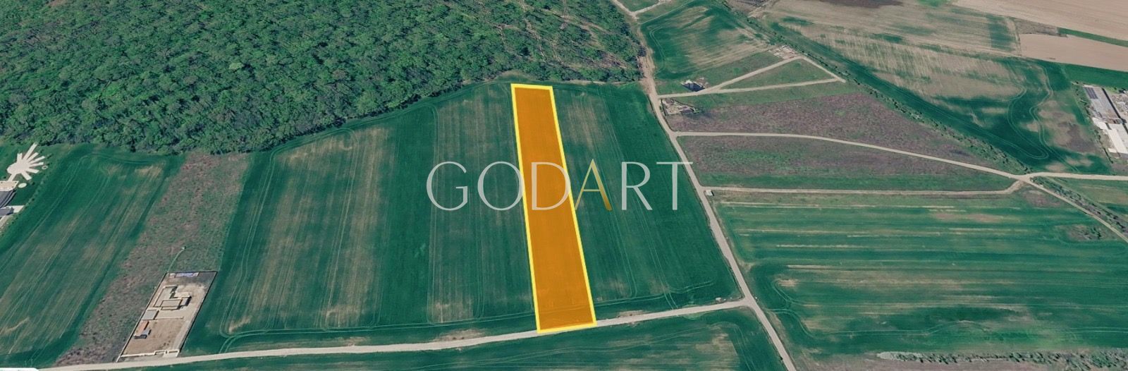 Teren 10.000 mp în Ciolpani | Deschidere la șosea | Pădurea Snagov - Poză 1