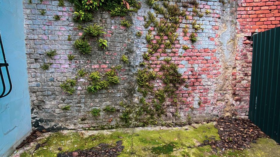 Cladire cu multiple spatii comerciale | P-ta Maria - Sinaia | 1425 MP - Poză 29