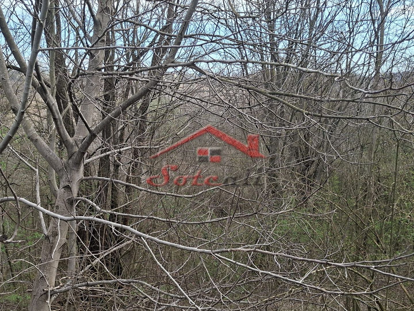 Teren de vanzare Cornu de Jos - Poză 1