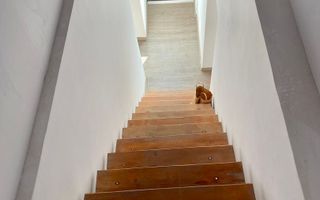 De vânzare – Clădire impresionantă, 11 camere, 9 dormitoare, Păcurari - Poză 29