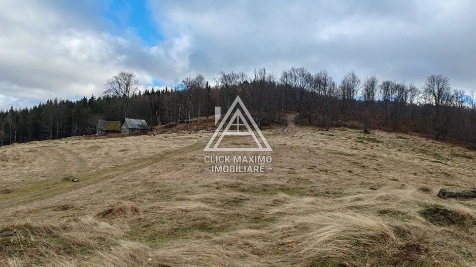 19.5 Hectare în Zona Turistică Montană – Bulz, Bihor - Poză 5