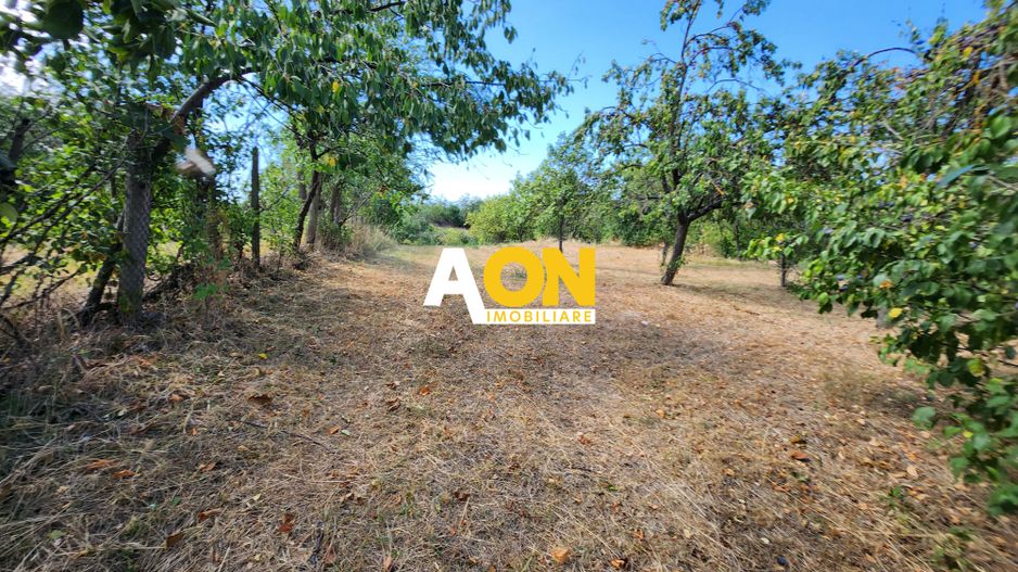 De vanzare teren intravilan 728mp, Oarda de Sus - Poză 1