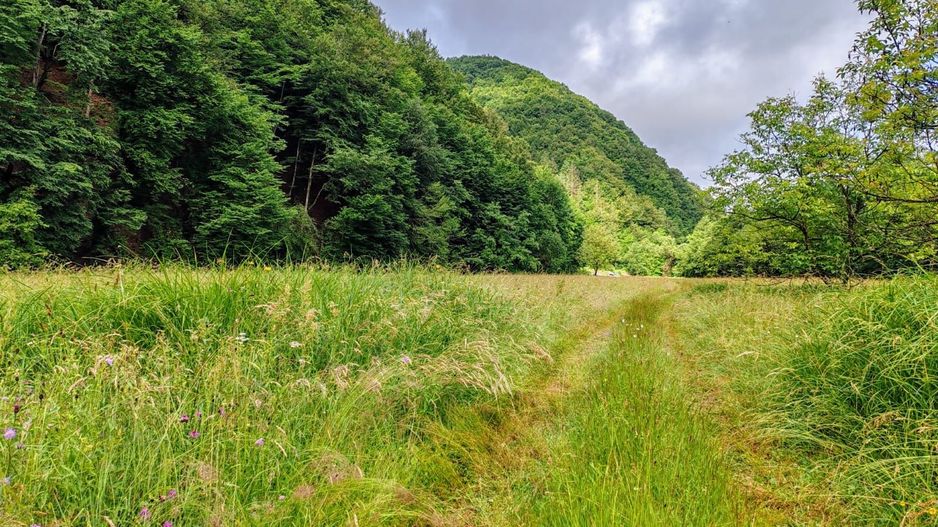 2,8 Ha Teren Extravilan cu Pârâu - Negreni, Cluj - Poză 12