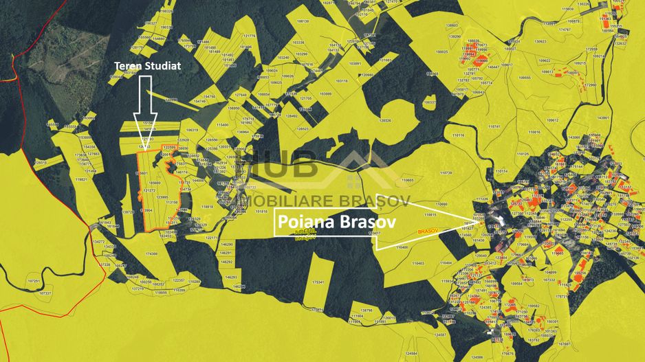 Oportunitate | Poiana Brasov 13ha - Poză 5