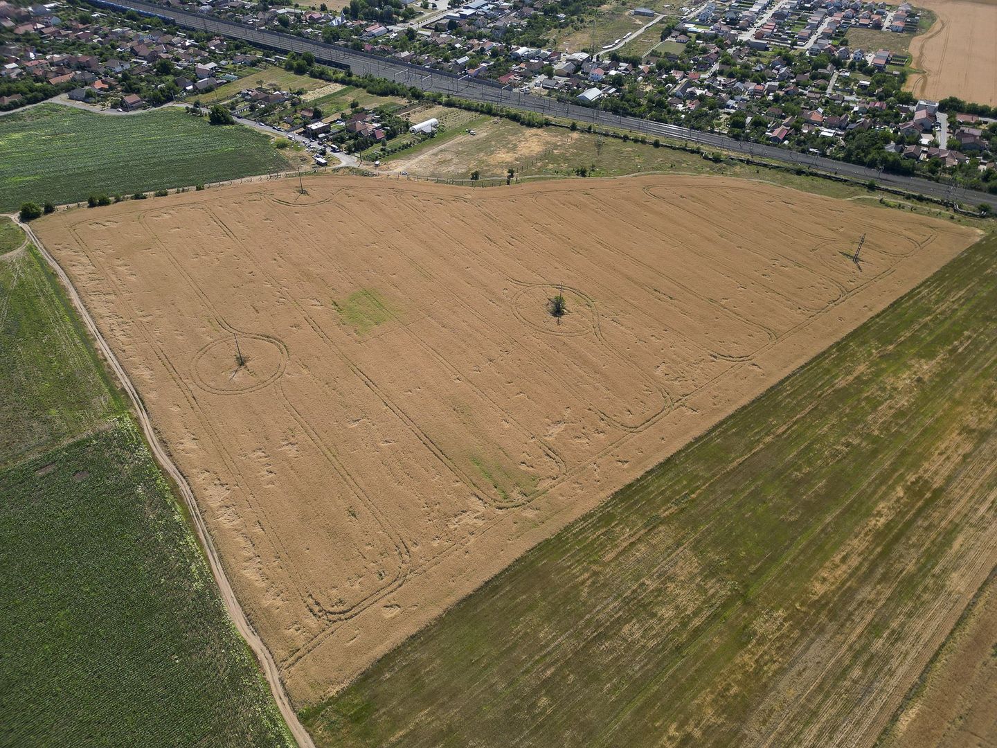 Tern intrevilan 4003 mp - Poză 11