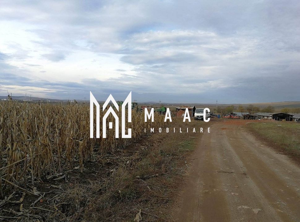 Teren intravilan I Zona Calea Surii Mici- Magnolia - Poză 5