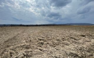 TEREN EXTRAVILAN | 23 ARI | HORODNIC DE SUS - Poză 3