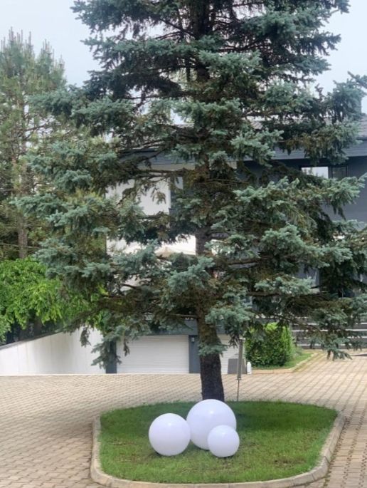 Vila deosebita pe malul lacului Snagov - Poză 6