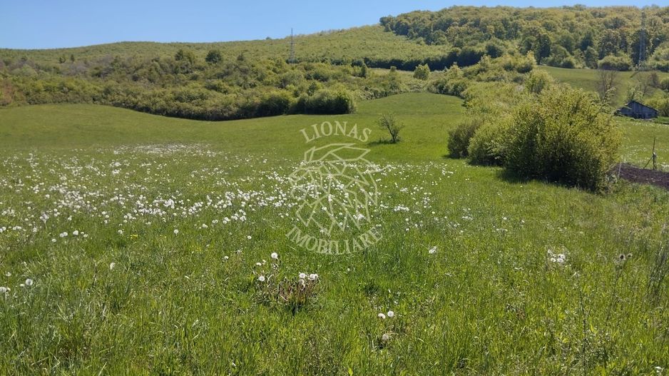 Teren 5400 mp-limita intravilan-2 deschideri-Sarata - Poză 2