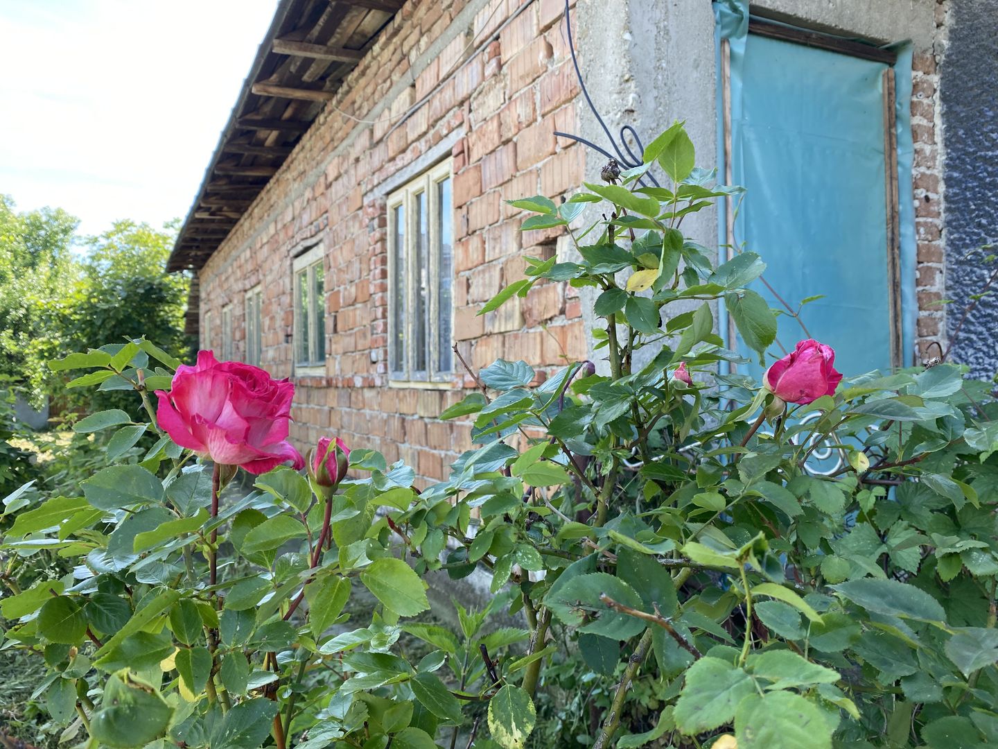 Vanzare "Casa Bunicilor" in satul Bucsani - Dambovita-Comision 0% - Poză 1