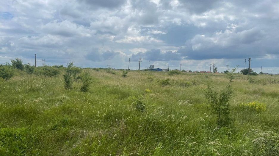 AZURA Imobiliare Pitesti - Teren de Vanzare Albota - Poză 4