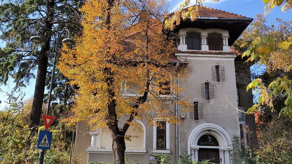 Vila individuală interbelica 16 camere Primaverii, Dorobanti, Beller - Poză 12