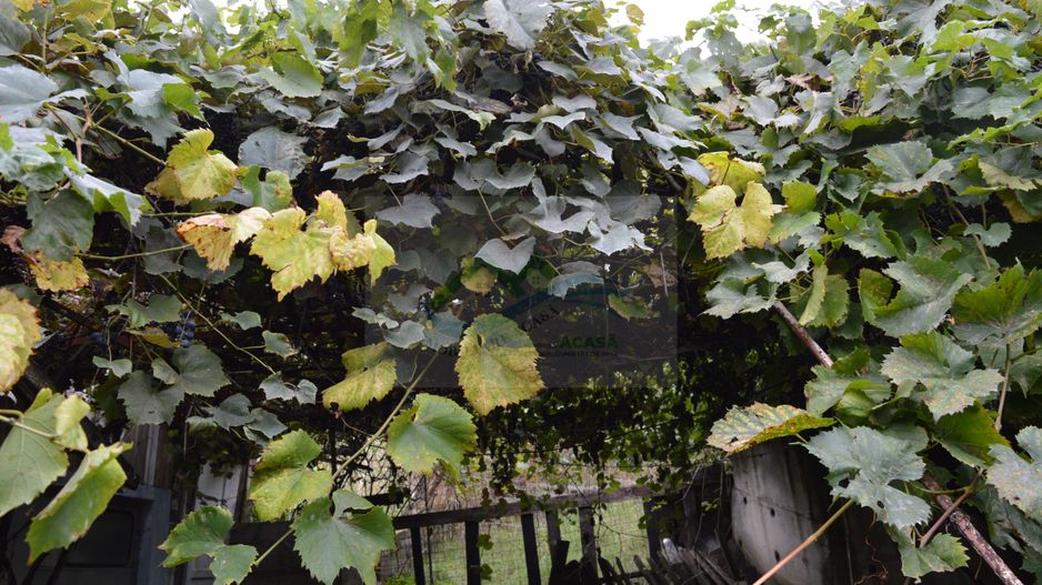 Casă de vânzare în Sfântu Ilie și teren 2000 mp - Poză 43