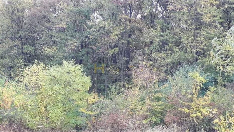 Teren Gruiu sat Lipia - Poză 1