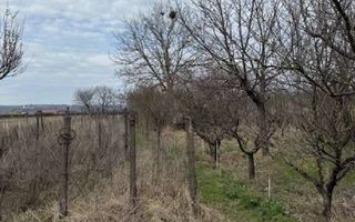 Teren intravilan 4.803 mp cu casă și anexe – Drăgășani, zona viticolă - Poză 3