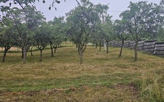 Casă 1 cameră de vânzare | Rădăcinești, Vâlcea | 5500 mp teren - Poză 9