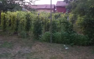 Casă individuală cu 4 camere în Burila Mare, jud. Mehedinți - Poză 41