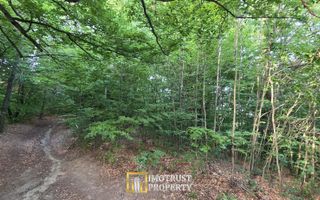 De vânzare teren extravilan  8,2037 ha pădure și pășune Borod, Bihor - Poză 6