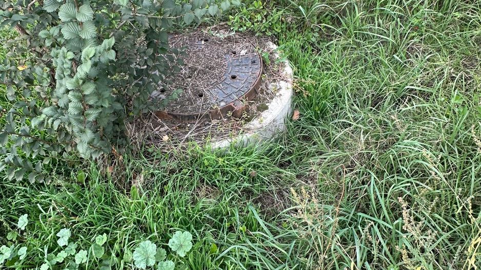 6300 mp teren Pasarea cu deschidere la lac - Poză 13