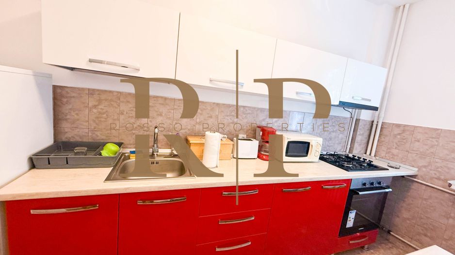 Apartament 2 Camere Cismigiu ** Mobilat si Utilat* - Poză 12