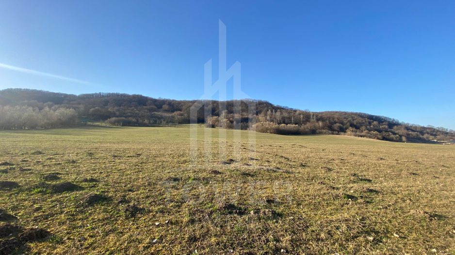 Teren de 7.500 mp de vânzare în Bradu, Avrig-COMISION 0% – lângă râul Olt. - Poză 3