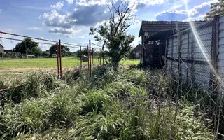 Casa cu anexe si pivniță | Teren intravilan generos | Sannicolau Roman - Poză 28