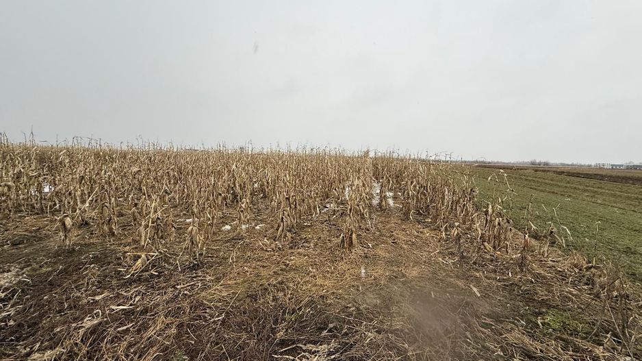 Teren extravilan | Gălănești | 7.276 mp | Front 29 m - Poză 2