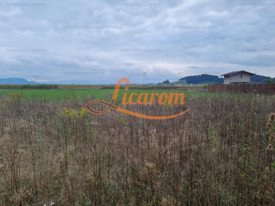 De vanzare teren  502 mp Harman Aleea 14 pret 40000 euro - Poză 4