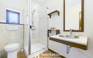 Oază de liniște: vilă spațioasǎ cu grădină matură superbă si  2 garaje - Poză 31