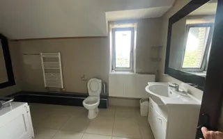 VILA CU FOISOR |  MOBILATA | CU 7 ARI TEREN - Poză 16