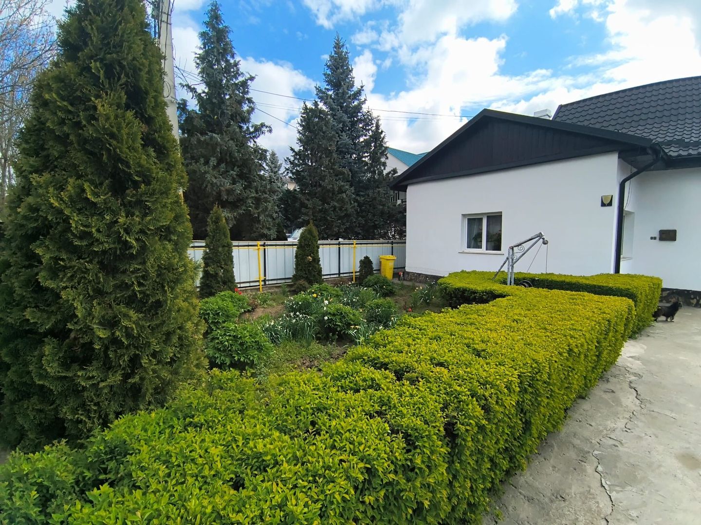 Casa + Teren Generos 1400 MP | Burdujeni – zona Penny - Poză 1
