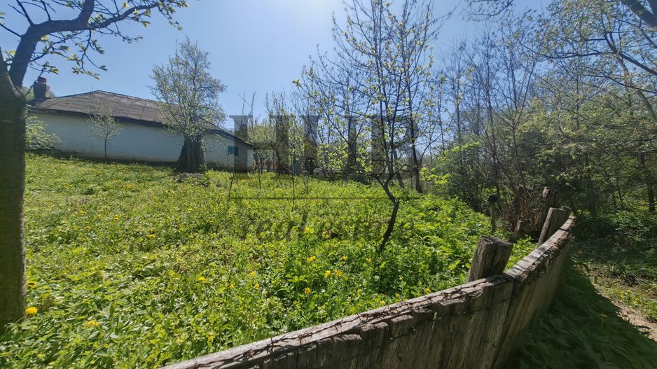 Casa batraneasca in Crihan/Magura | de vanzare - Poză 5