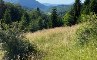 Teren 14400 mp la iesire din Rasnov inspre Pârâul Rece-Trei Brazi - Poză 2