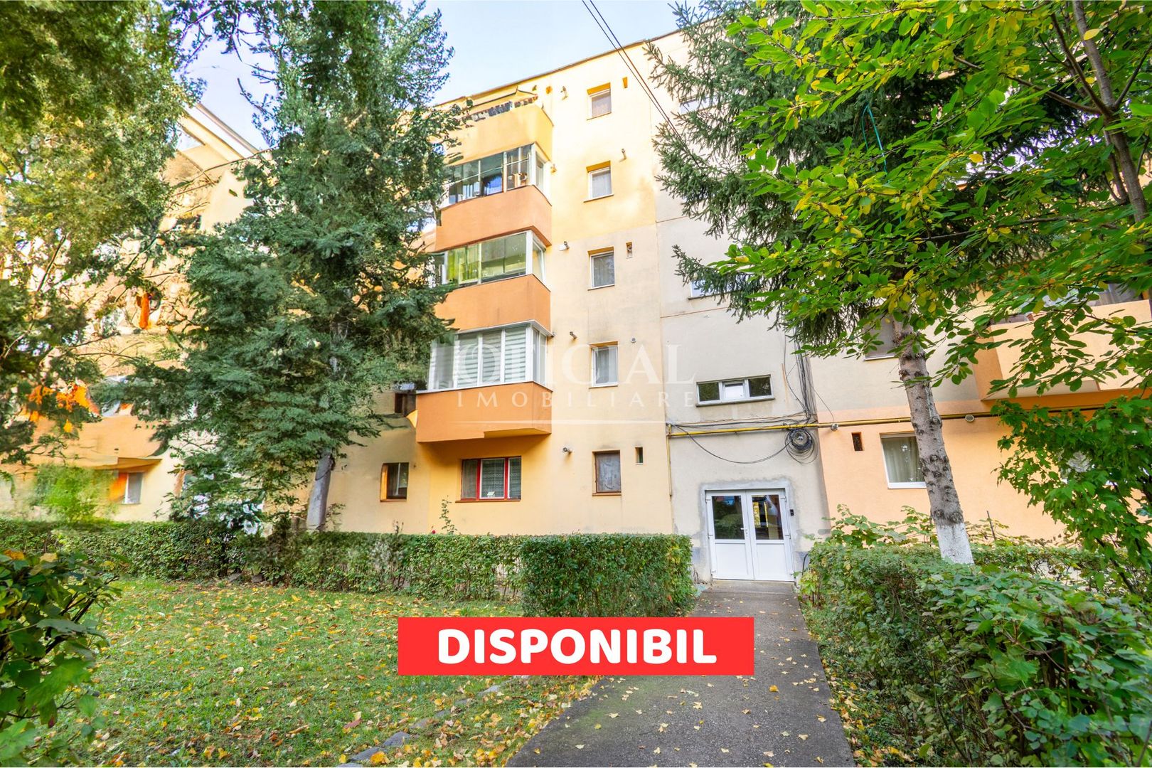 Apartament 3 Camere | Decomandat | 65 m2 | Zona Gheorghe Dima Zorilor - Poză 1