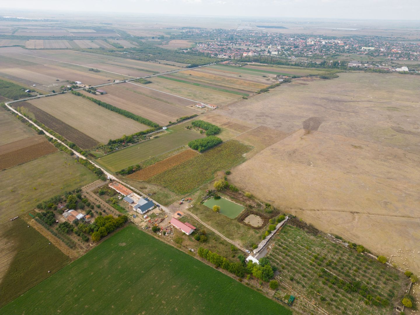 Teren intravilan cu iazuri și casă - Chișineu-Criș - Poză 11