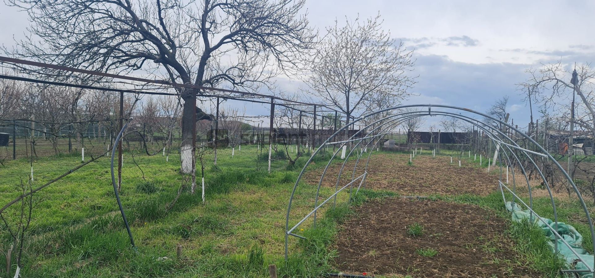 Sapient | Casa zona Episcopia Bihor - Poză 16