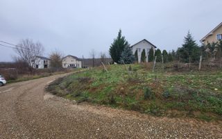 Teren extravilan Paleu - Poză 2